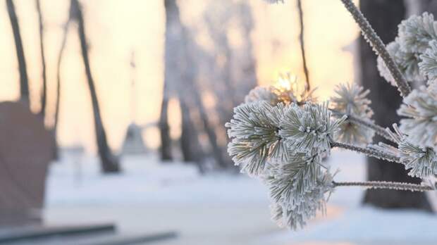 Зима. Мороз / Фото: amic.ru      