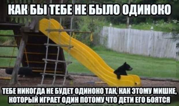 Пятничные фотоприколы и картинки (41 шт)