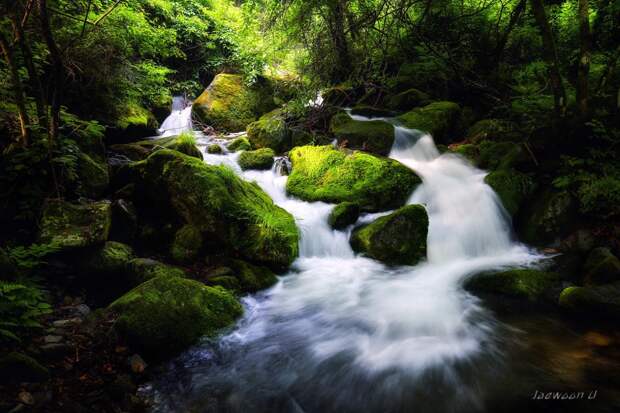 Фотография Green moss waterfall автор Jaewoon U на 500px