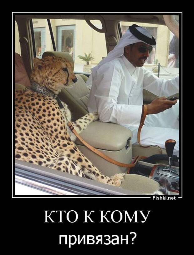 Демотиваторы  демотиваторы, прикол, смех, юмор