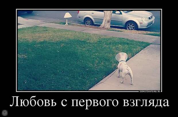 Просветление - это сюда! 28