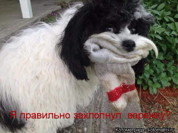 1433454591_04 (700x525, 263Kb)