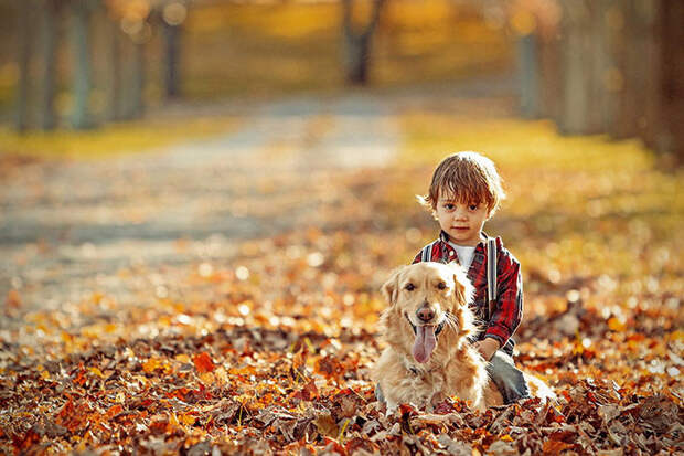 50 фотографий, доказывающих, что вашим детям нужна собака дружба, ребенок, собака