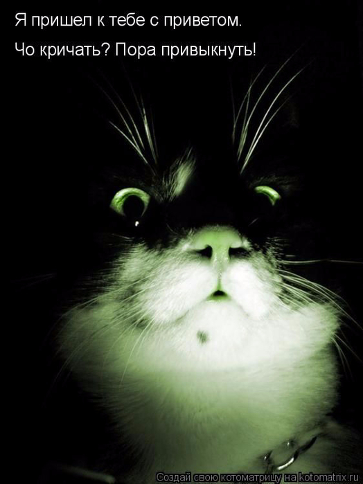 1429823354_10 (524x700, 199Kb)