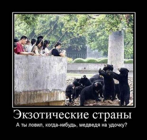 Демотиваторы для всех (17 шт)