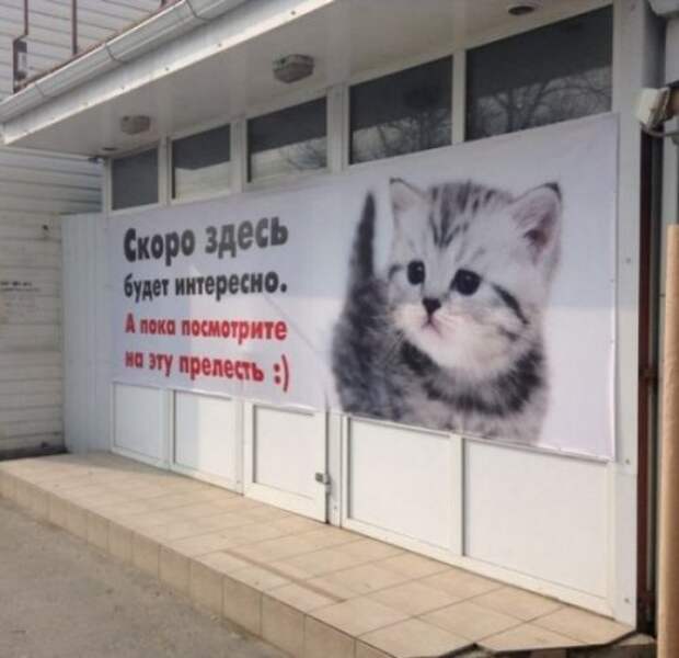 Смешные объявления и вывески (12 фото)