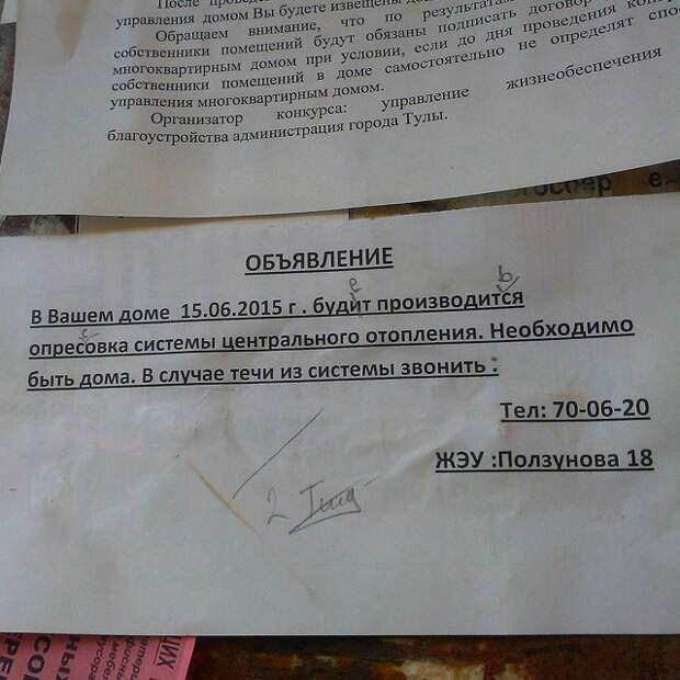 гениальные объявления в подъездах 