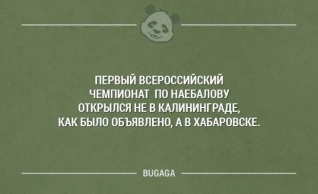 Картинки с прикольными надписями (14 шт)