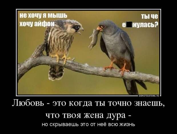 Демотиваторы демотиваторы, прикол, смех, юмор