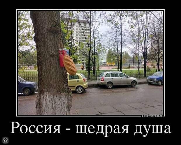 Иногда проще сказать правду... 1