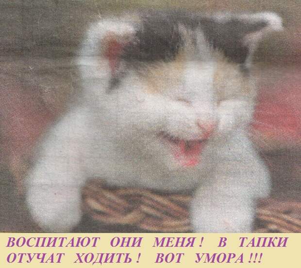 ВИннЕГРЕТ 54 ВИннЕГРЕТ 54