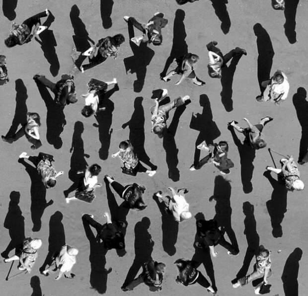 Тени отбрасывают котов: 20 сюрреалистических фотографий Алексея Меньшикова