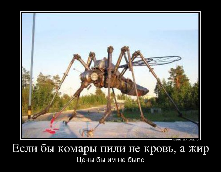 Демотиваторы 