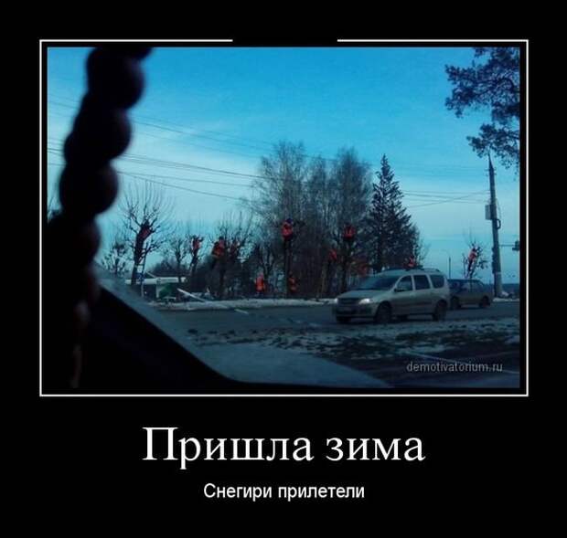Душевные демотиваторы: лучшие за неделю Душевные демотиваторы: лучшие за неделю