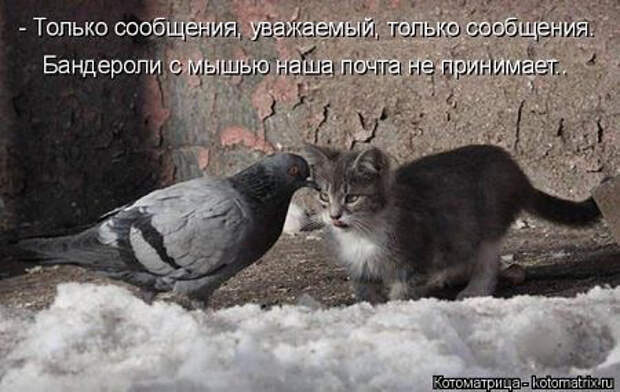 image (450x285, 113Kb)