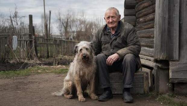 Кому в Воронеже живётся лучше — бездомной собаке или пенсионеру?