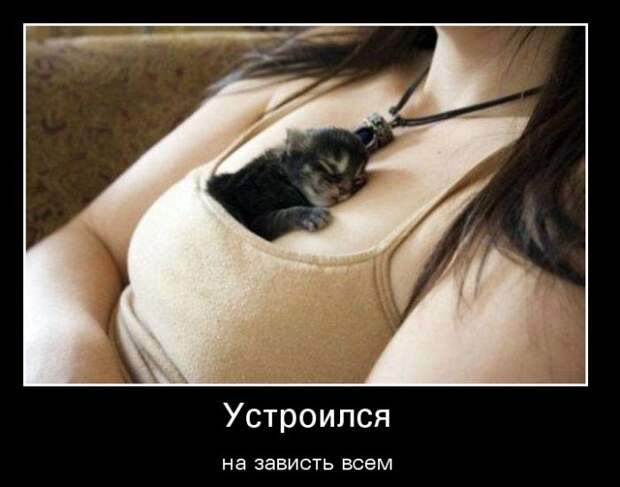 Пятничная подборка демотиваторов демотиватор, юмор