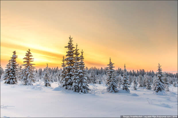 Это было незабываемо лапландия, природа, финляндия
