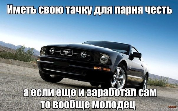 Подборка автоприколов. Часть 152 автоприколы, приколы