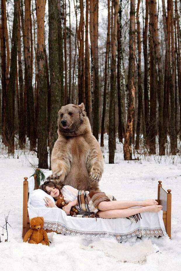Фотографии моделей с 650-килограммовым медведем в заснеженном лесу Фотографии моделей с 650-килограммовым медведем в заснеженном лесу медведь, фото