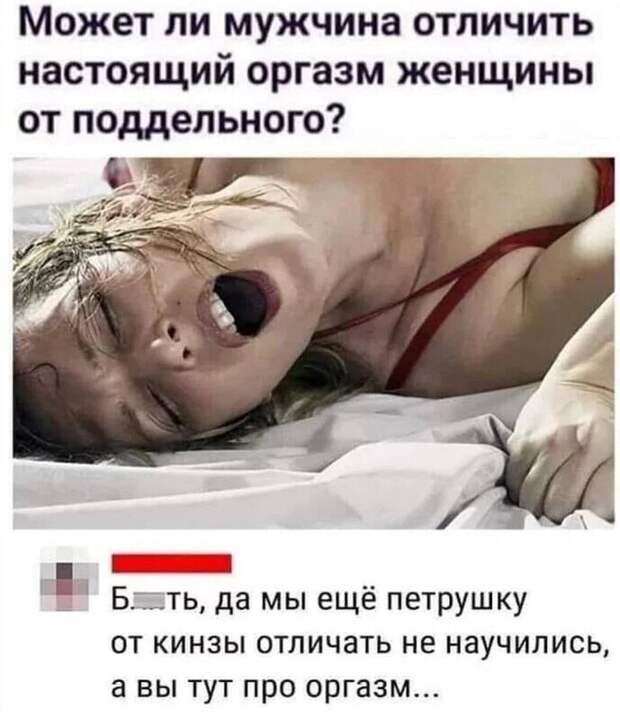12. А вы отличаете петрушку от кинзы?