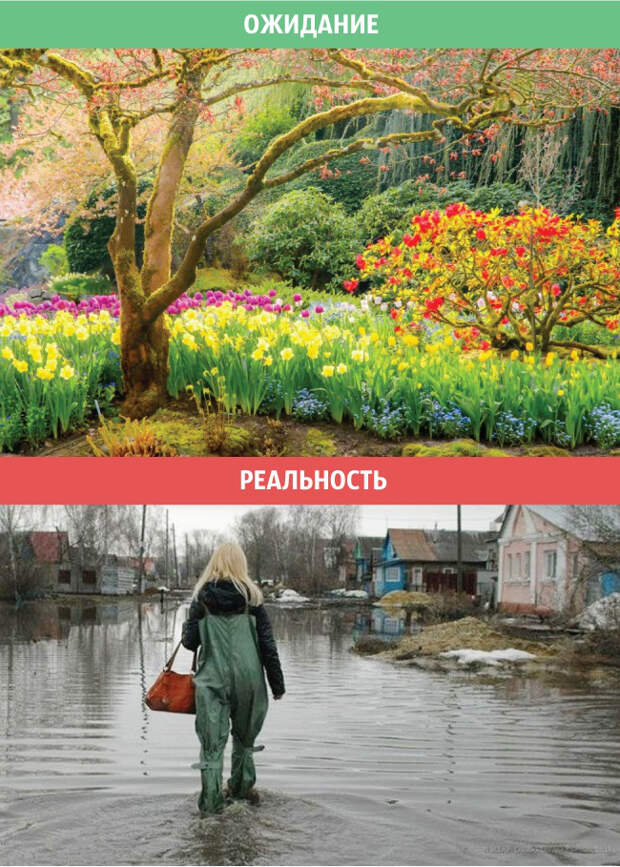 весна, ожидания и реальность