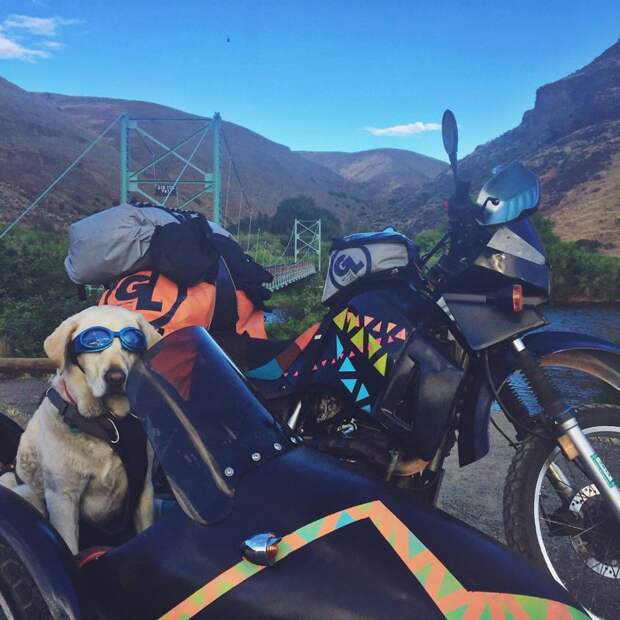 Путешествие на мотоцикле вместе с собакой аляска, путешествие