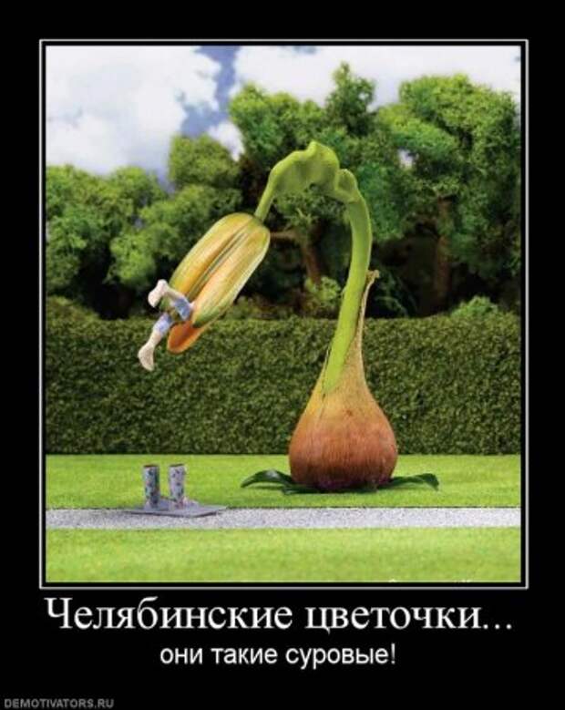 Порция хороших демотиваторов.