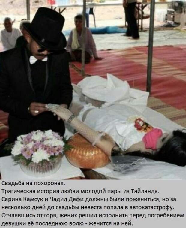 41. 41. история, факты