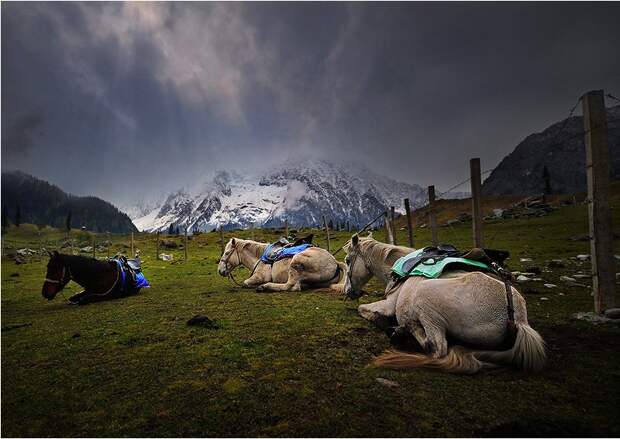 Такая чарующая Азия азия, фото