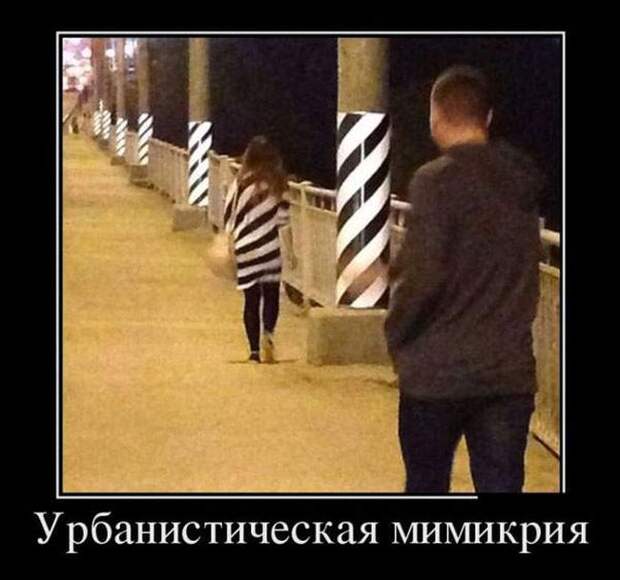 Демотиваторы (30 фото)