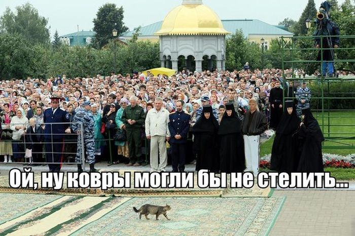 ПОДБОРКА ФОТОПРИКОЛОВ № 368