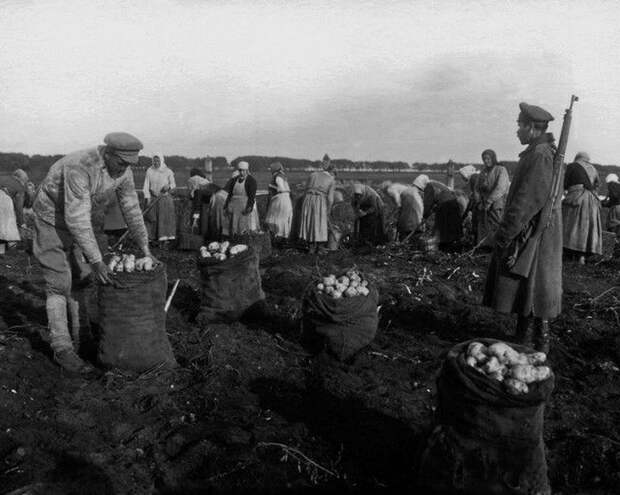 Россия конца 19 века на фото