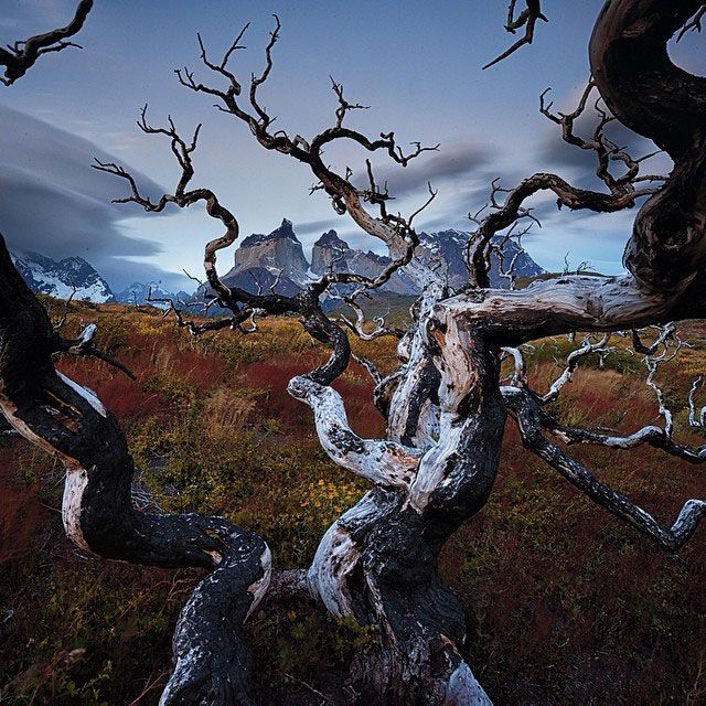 Лучшие фотографии от National Geographic