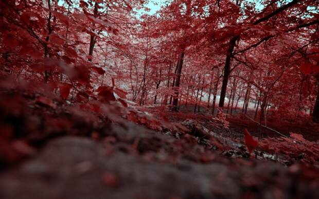 Фотоподборка за 08.05.2014 интересное, фото