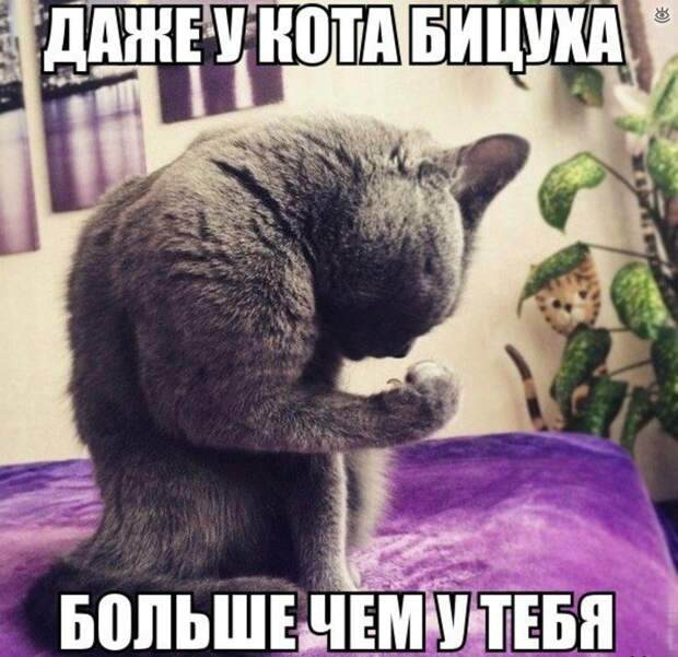 Различные прикольности 3