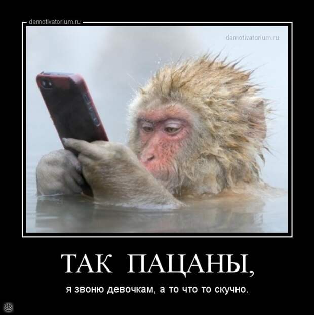 Мотиваторно-демотиваторная подборка 1