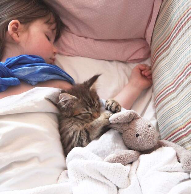 5-летняя девочка аутист и ее терапевтическая кошка Тула айрис грейс  (4)