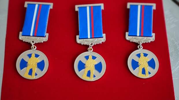 Трое школьников из Подмосковья получили медали за мужество