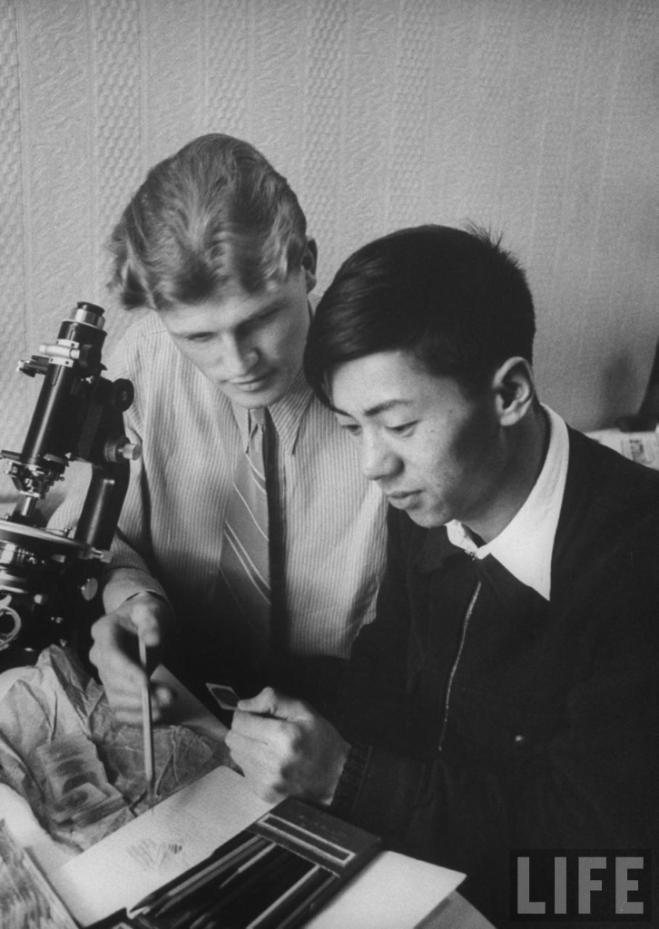 Московский государственный университет  в 1956 году