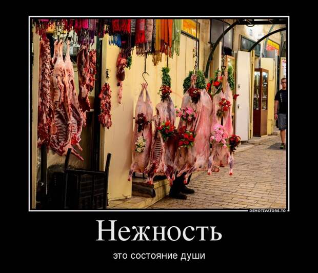 Демотиваторы демотиваторы