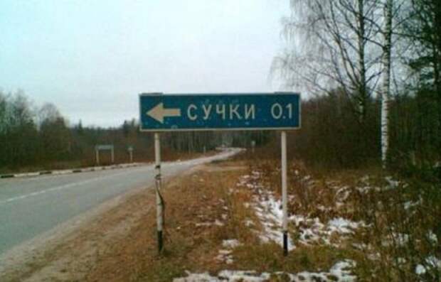 забавные фото из путешествий