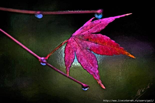 018 (700x467, 202Kb)