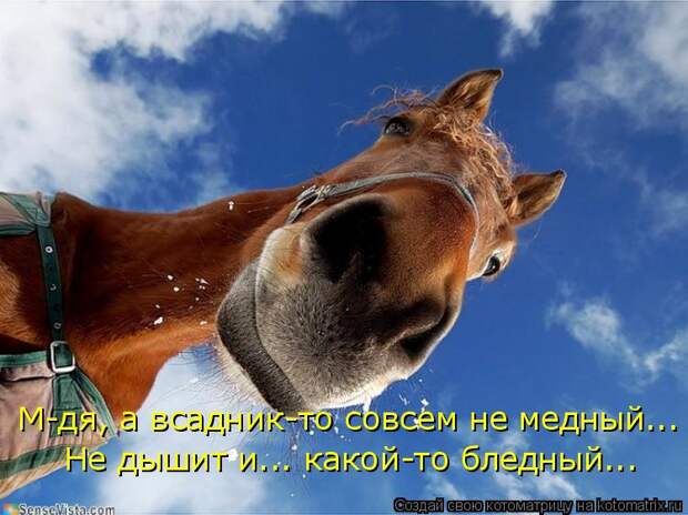 Котоматрица: М-дя, а всадник-то совсем не медный... Не дышит и... какой-то бледный...