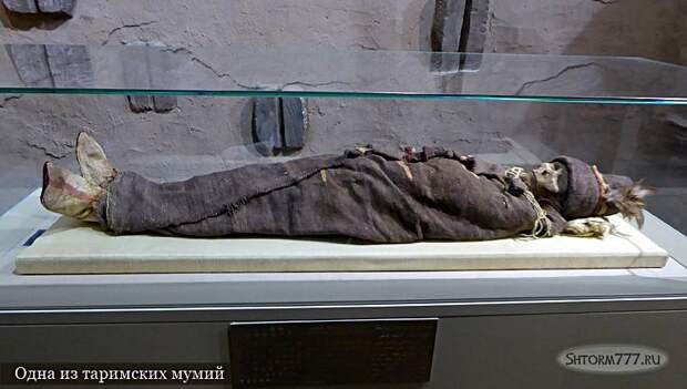 Одна из таримских мумий