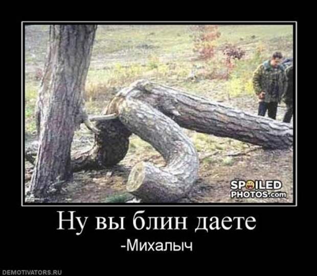 Картинки с надписями классная подборка демотиваторов.