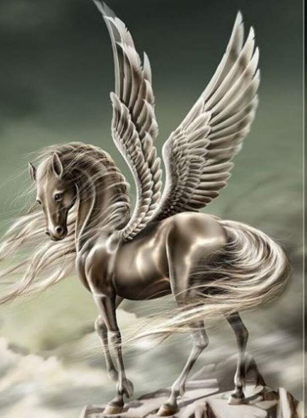 Отец крылатого коня пегаса. Крылатый конь Пегас. Лошадь с крыльями. Мифический крылатый конь Пегас. Пегас лошадь.