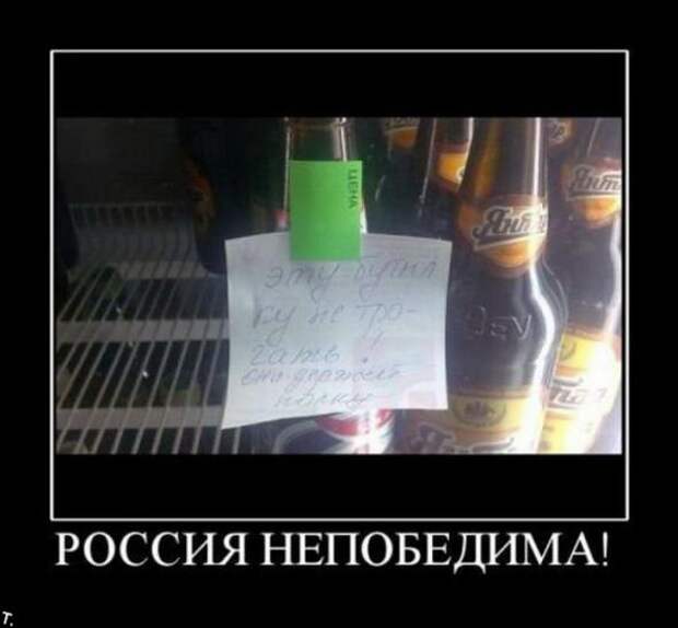 Демотиваторы 13.03.11