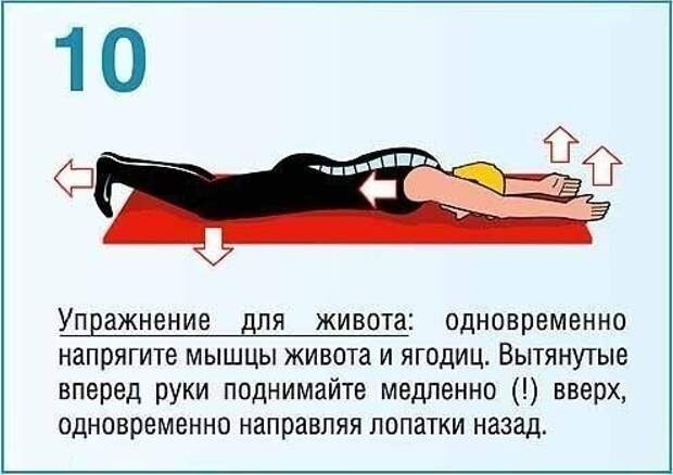 Укрепляющая тренировка для мышц спины и пресса факты