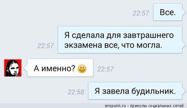 Я сделала для завтрашнего экзамена все, что могла